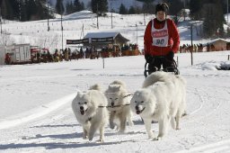 Kandersteg 2010