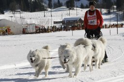 Kandersteg 2010