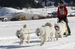 Kandersteg 2010