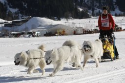 Kandersteg 2010