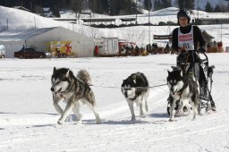 Kandersteg 2010