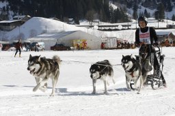 Kandersteg 2010