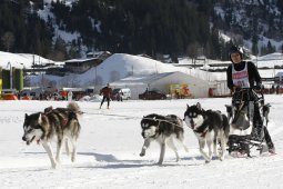 Kandersteg 2010