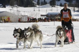 Kandersteg 2010