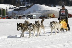 Kandersteg 2010