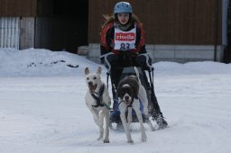 Kandersteg 2010