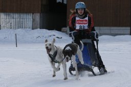 Kandersteg 2010