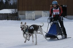 Kandersteg 2010