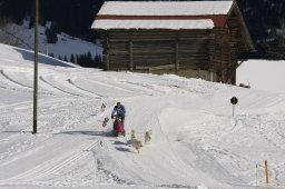 Kandersteg 2010