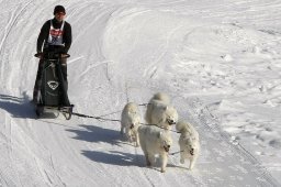 Kandersteg 2010