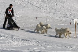 Kandersteg 2010