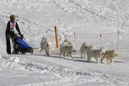 Kandersteg 2010