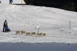 Kandersteg 2010