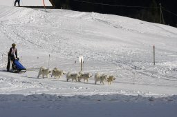 Kandersteg 2010