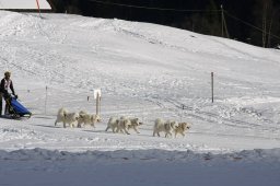 Kandersteg 2010