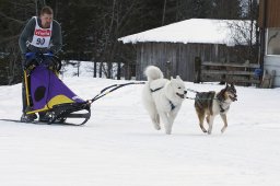 Kandersteg 2010