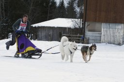 Kandersteg 2010