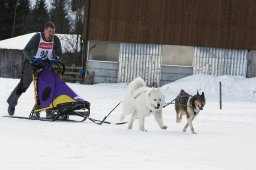 Kandersteg 2010