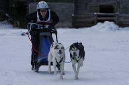 Kandersteg 2010