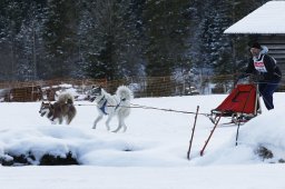 Kandersteg 2010