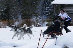 Kandersteg 2010