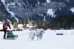 Kandersteg 2010