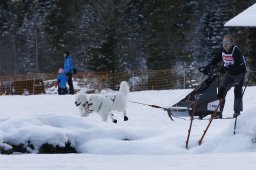 Kandersteg 2010