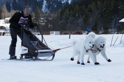 Kandersteg 2010