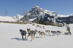 Schlittenphotos &raquo; 2011_Kandersteg