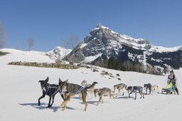 Kandersteg 2011