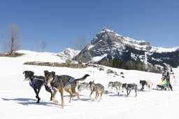 Kandersteg 2011