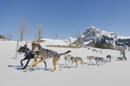 Kandersteg 2011