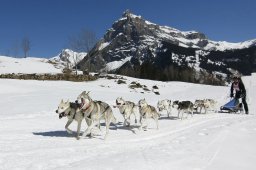 Kandersteg 2011