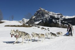 Kandersteg 2011