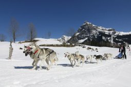 Kandersteg 2011