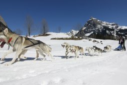 Kandersteg 2011