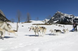 Kandersteg 2011