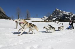 Kandersteg 2011