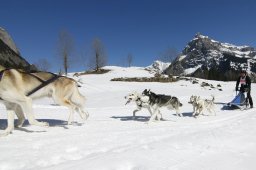 Kandersteg 2011