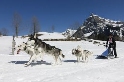 Kandersteg 2011