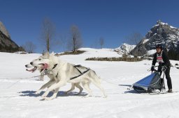 Kandersteg 2011