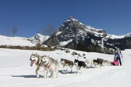 Kandersteg 2011