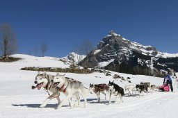 Kandersteg 2011