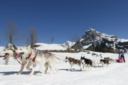 Kandersteg 2011