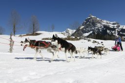 Kandersteg 2011