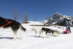 Kandersteg 2011