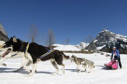 Kandersteg 2011