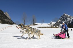 Kandersteg 2011