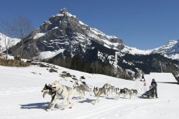 Kandersteg 2011