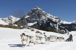 Kandersteg 2011